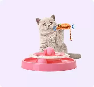 Cat Toys