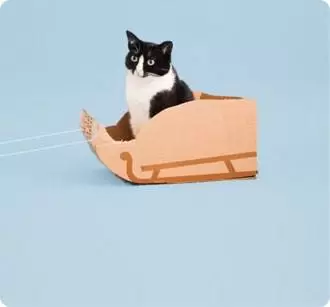 Shop Cat